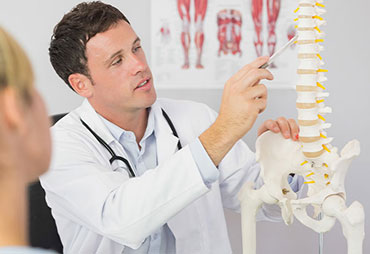 Chiropractor showing patient spinal anatomy